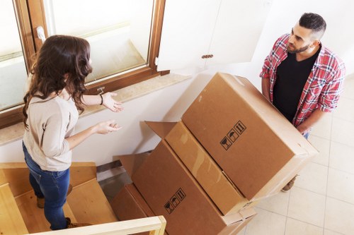 Professional movers carrying household items carefully